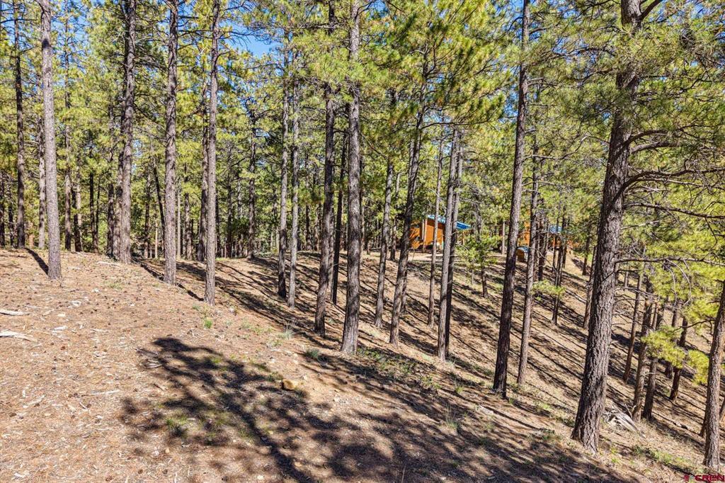 264 Badger Road Bayfield CO 81122