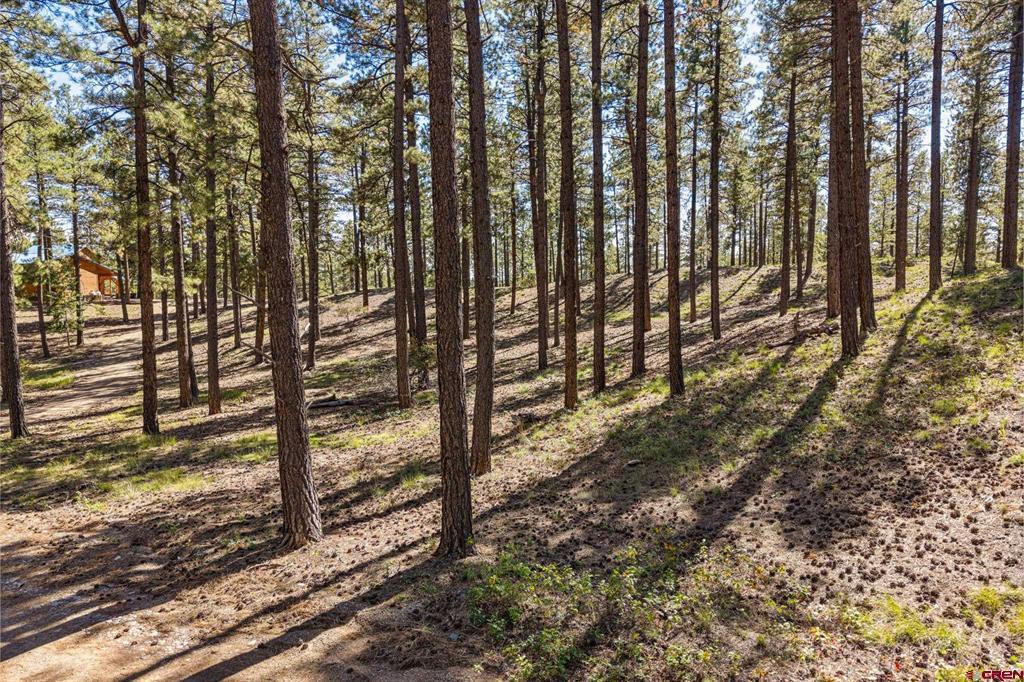 264 Badger Road Bayfield CO 81122