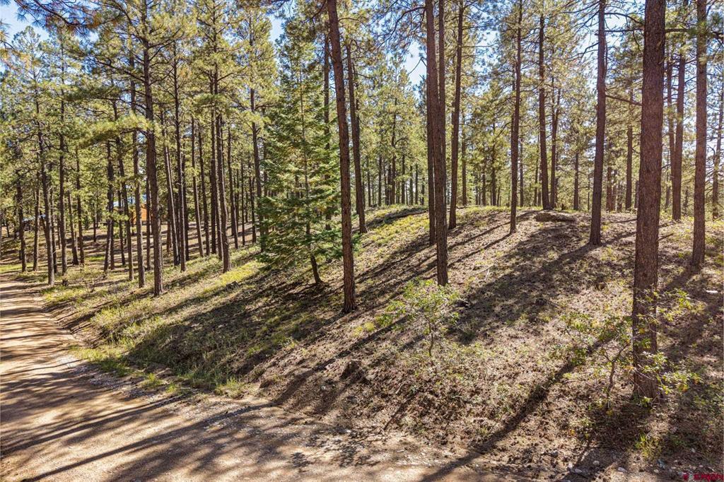 264 Badger Road Bayfield CO 81122