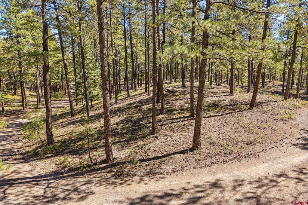 264 Badger Road Bayfield CO 81122