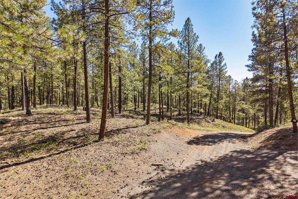 264 Badger Road Bayfield CO 81122