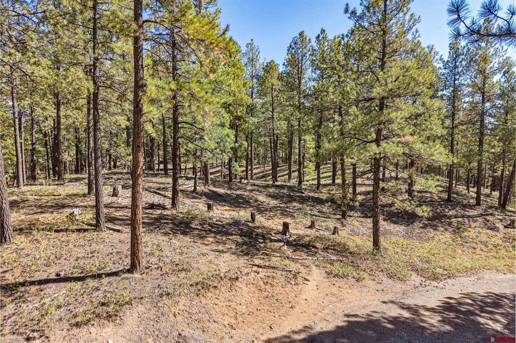 264 Badger Road Bayfield CO 81122