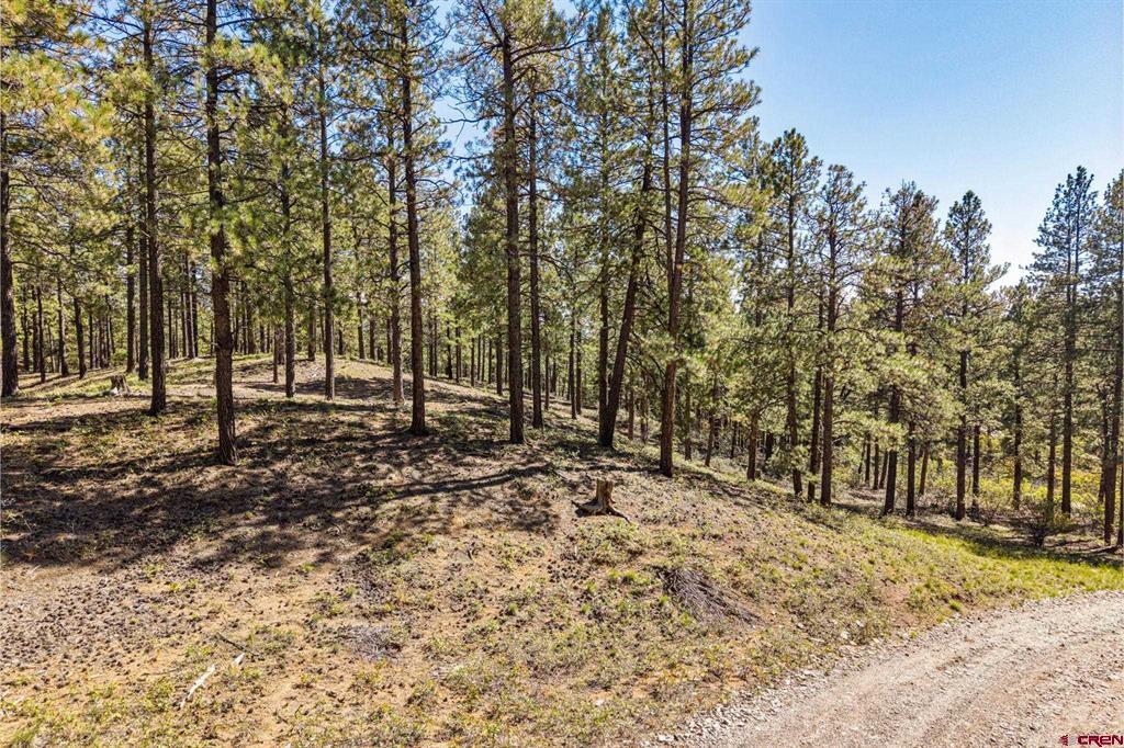 264 Badger Road Bayfield CO 81122