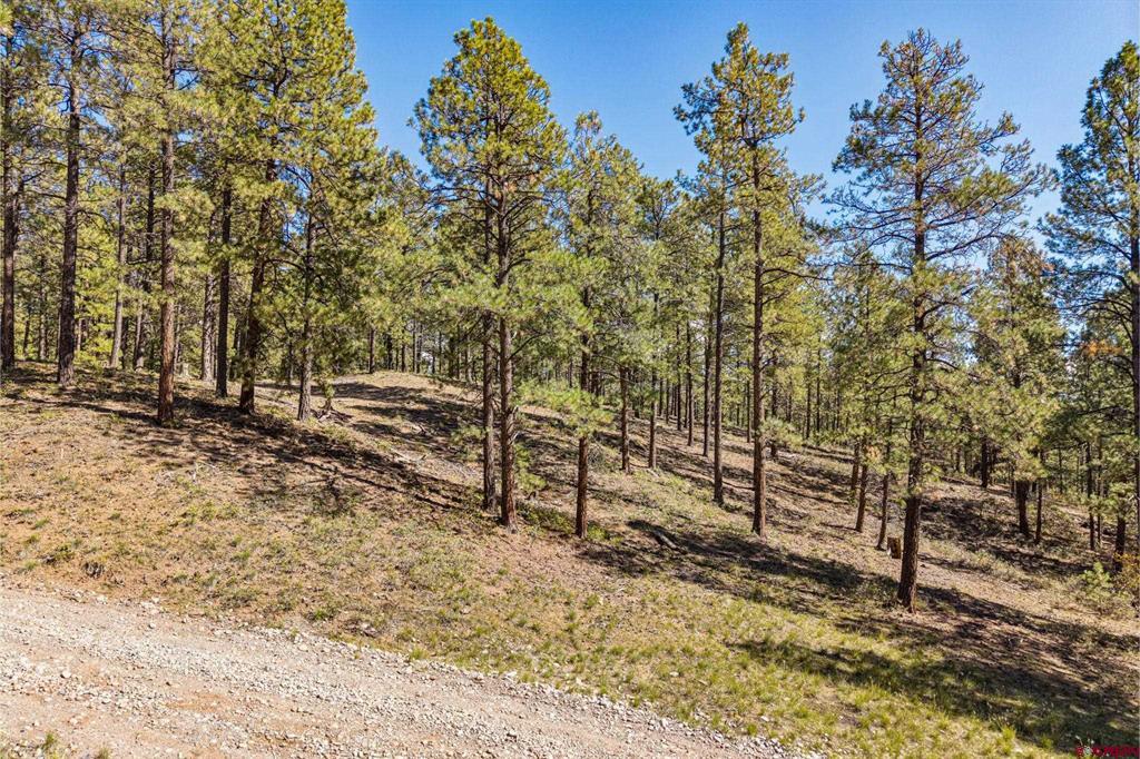 264 Badger Road Bayfield CO 81122
