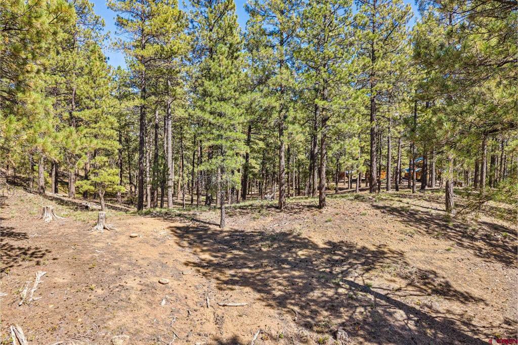 264 Badger Road Bayfield CO 81122