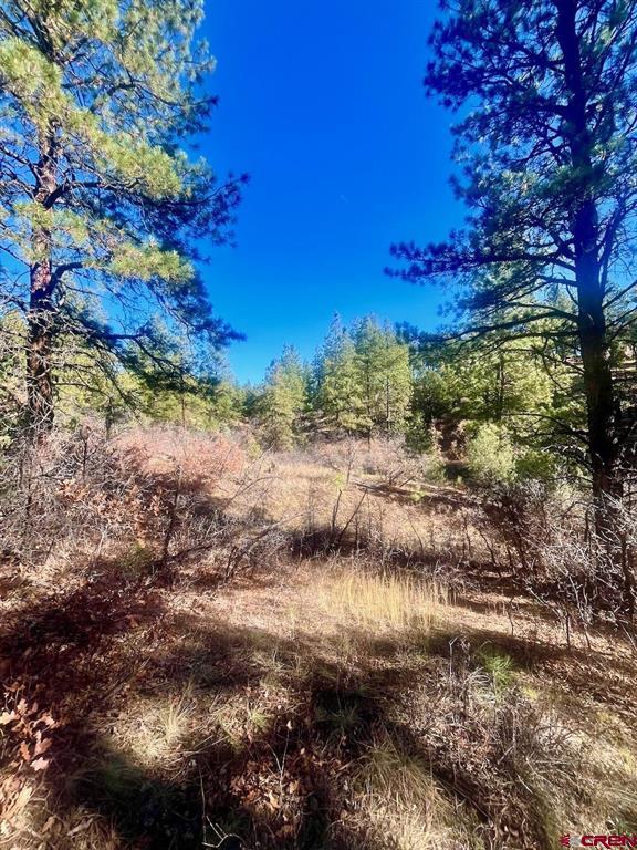 152 Lane Drive Durango CO 81303