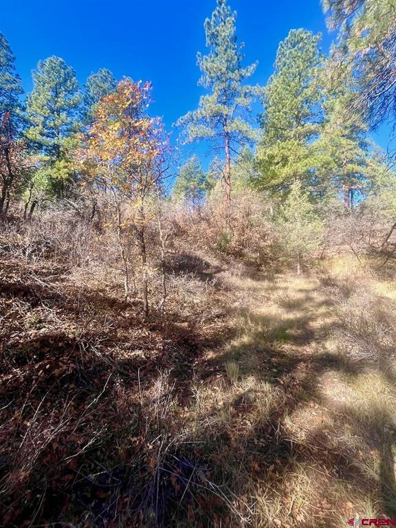 152 Lane Drive Durango CO 81303
