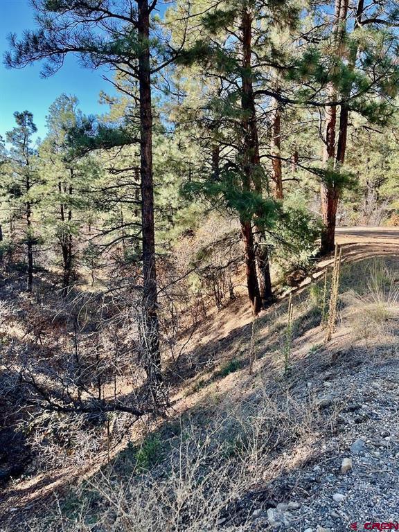 152 Lane Drive Durango CO 81303