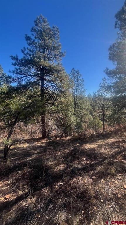 152 Lane Drive Durango CO 81303