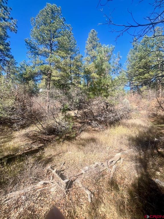152 Lane Drive Durango CO 81303