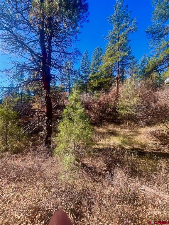 152 Lane Drive Durango CO 81303