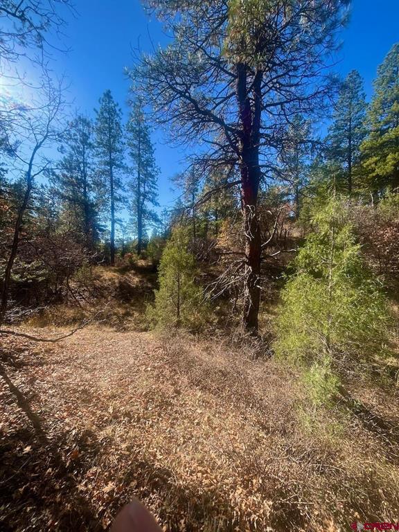 152 Lane Drive Durango CO 81303