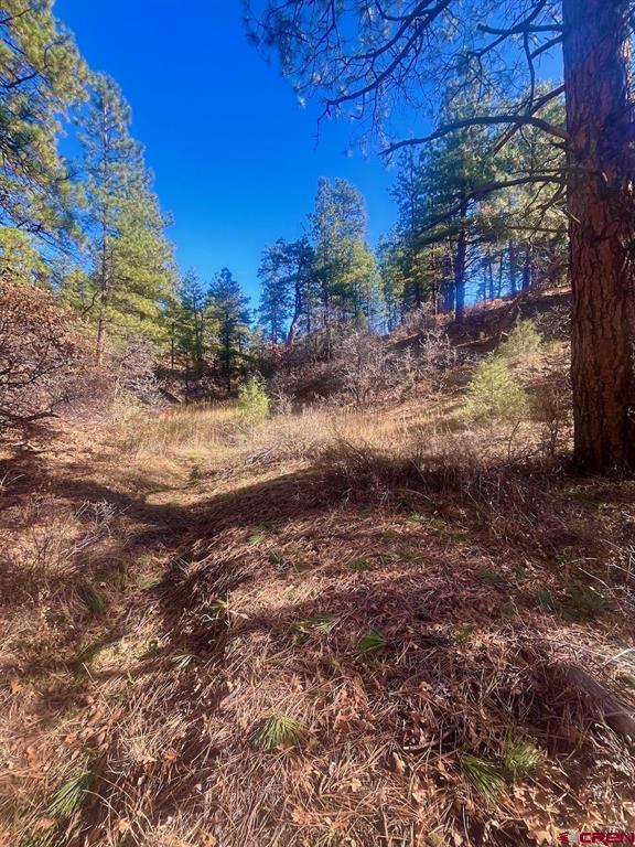 152 Lane Drive Durango CO 81303