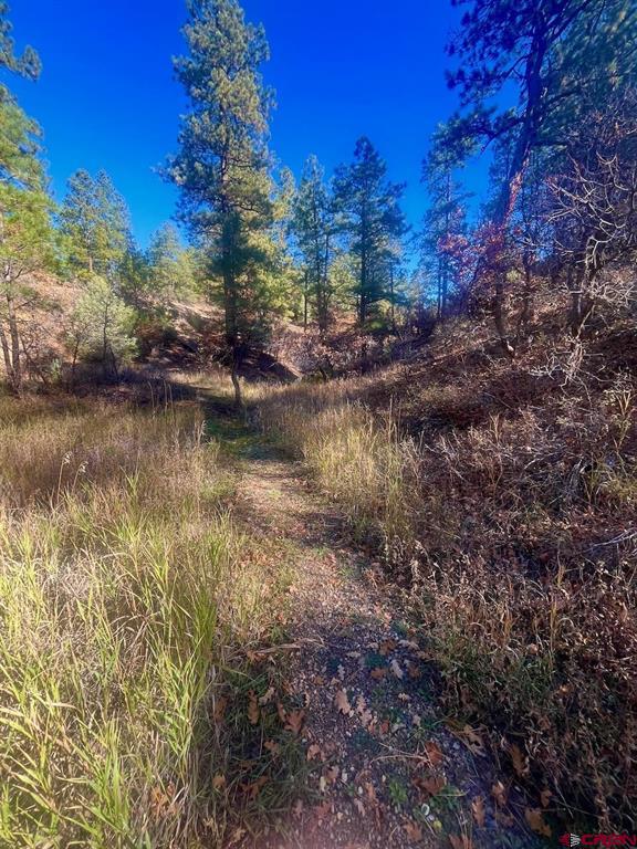 152 Lane Drive Durango CO 81303