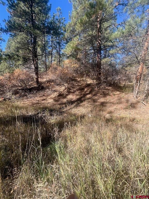 152 Lane Drive Durango CO 81303