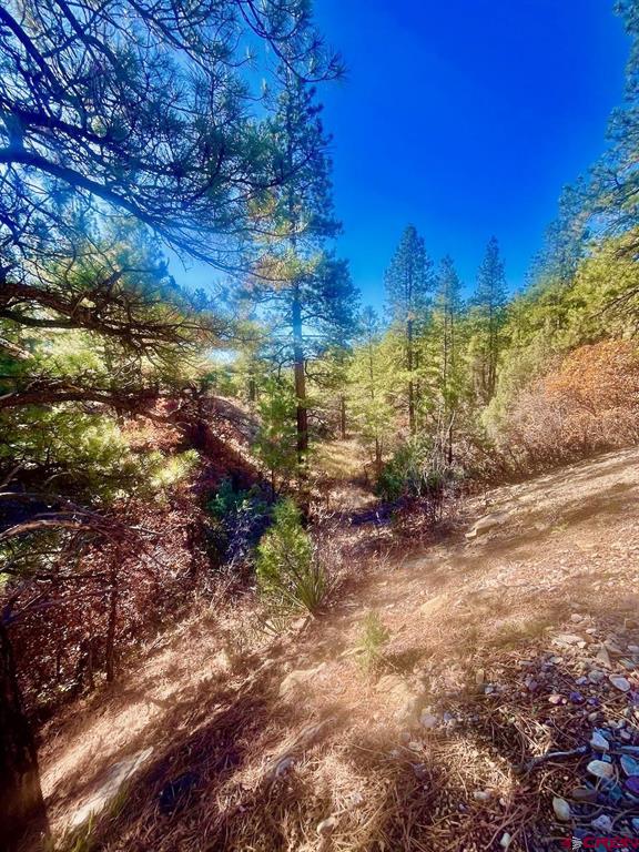 152 Lane Drive Durango CO 81303