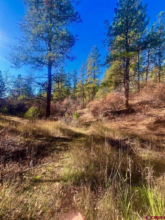 152 Lane Drive Durango CO 81303