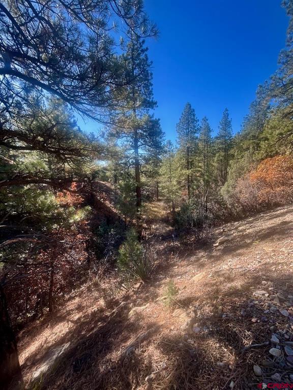 152 Lane Drive Durango CO 81303