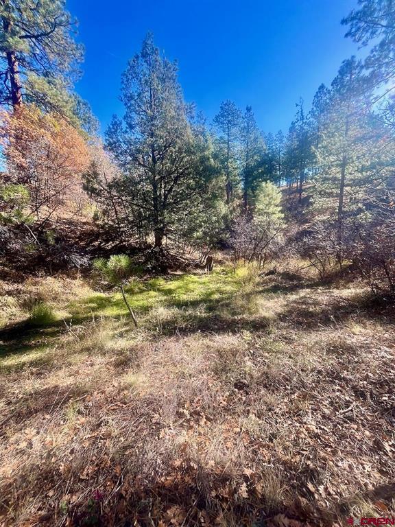 152 Lane Drive Durango CO 81303