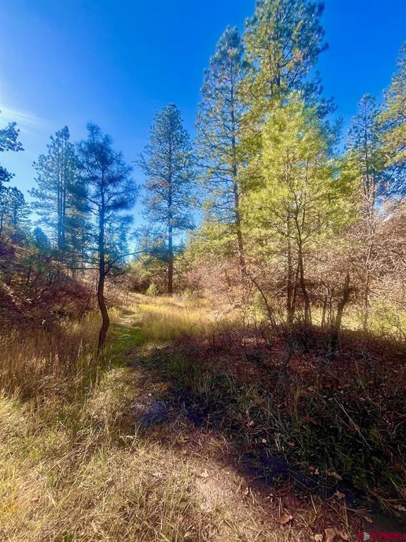152 Lane Drive Durango CO 81303