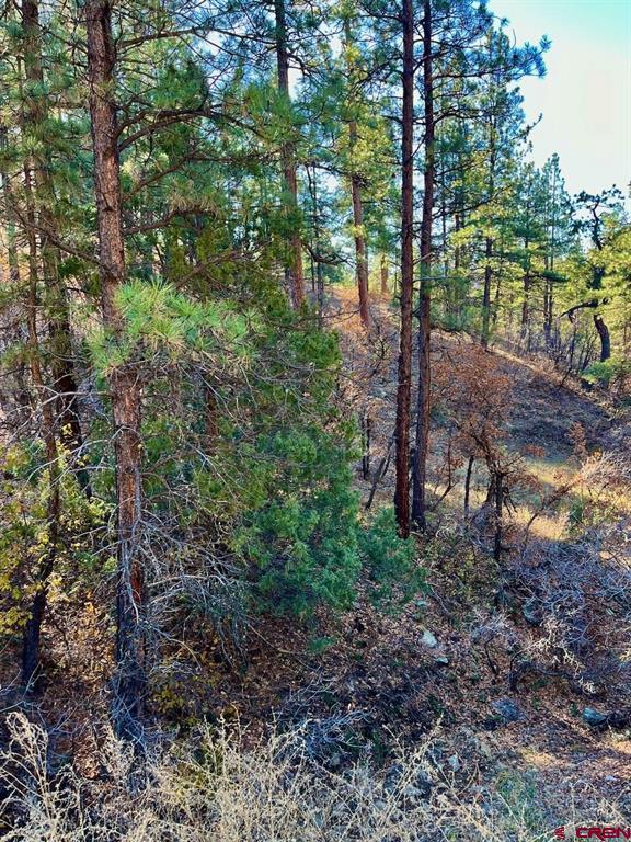 152 Lane Drive Durango CO 81303