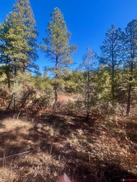 152 Lane Drive Durango CO 81303