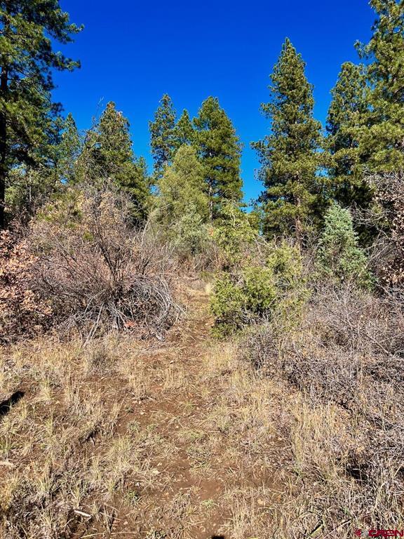 152 Lane Drive Durango CO 81303