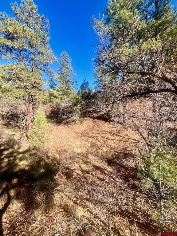152 Lane Drive Durango CO 81303