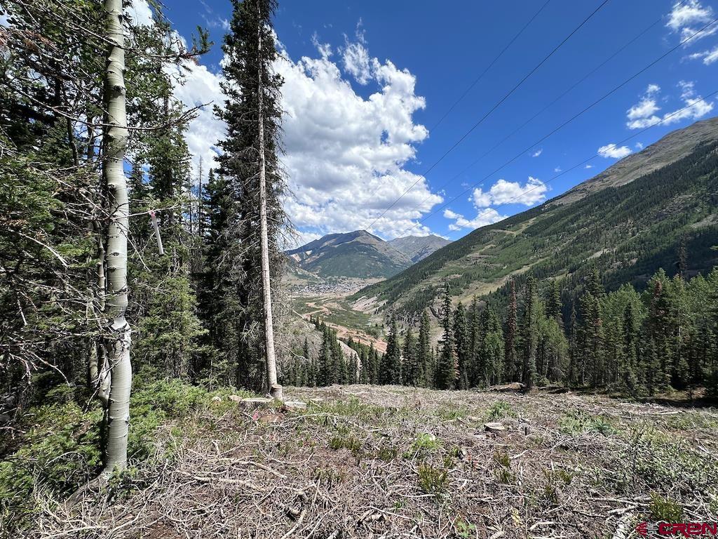Alletha Highway 550 Silverton CO 81433