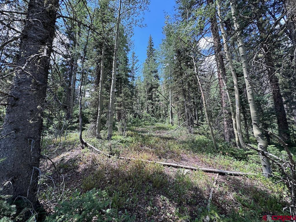 Alletha Highway 550 Silverton CO 81433