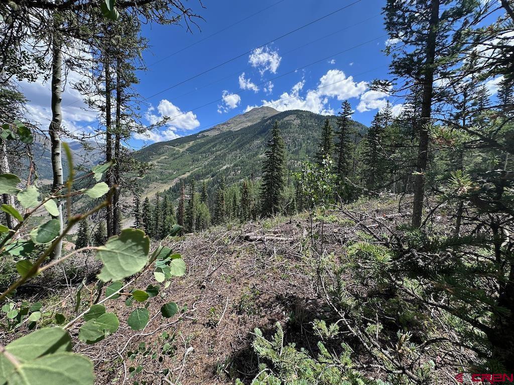Alletha Highway 550 Silverton CO 81433