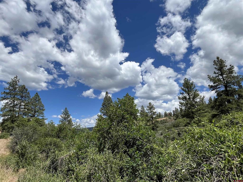 433 Echo Lane Pagosa Springs CO 81147