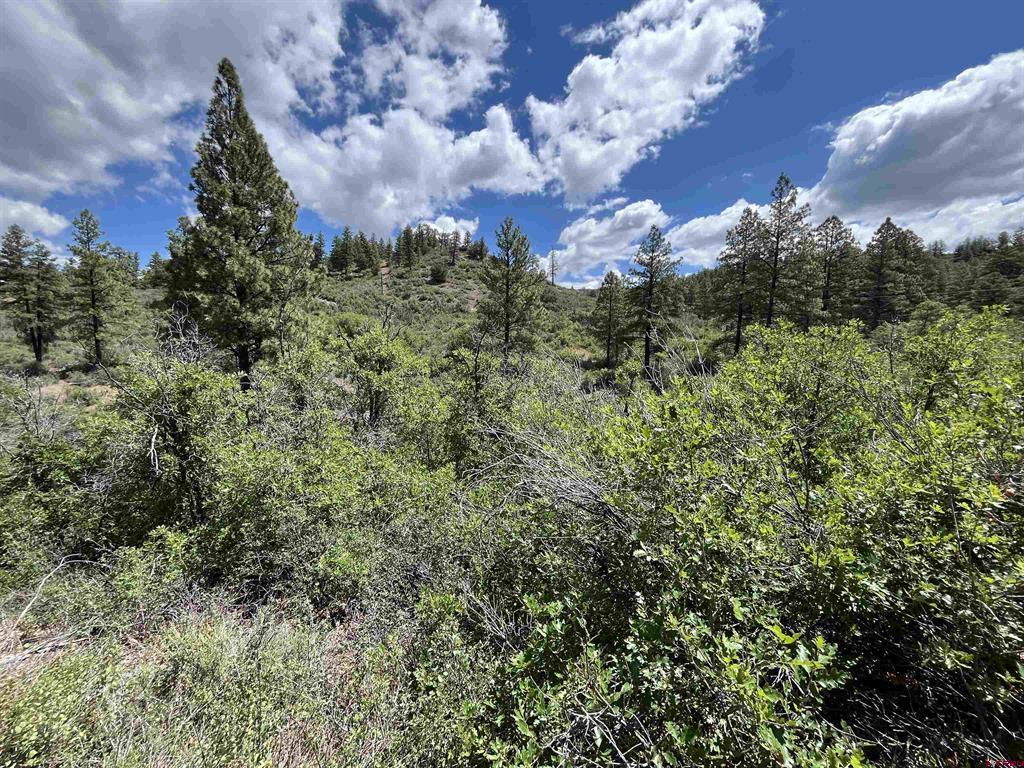 433 Echo Lane Pagosa Springs CO 81147