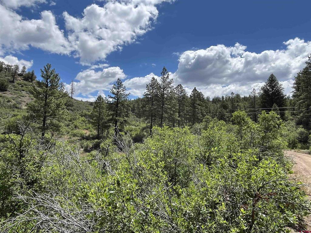 433 Echo Lane Pagosa Springs CO 81147