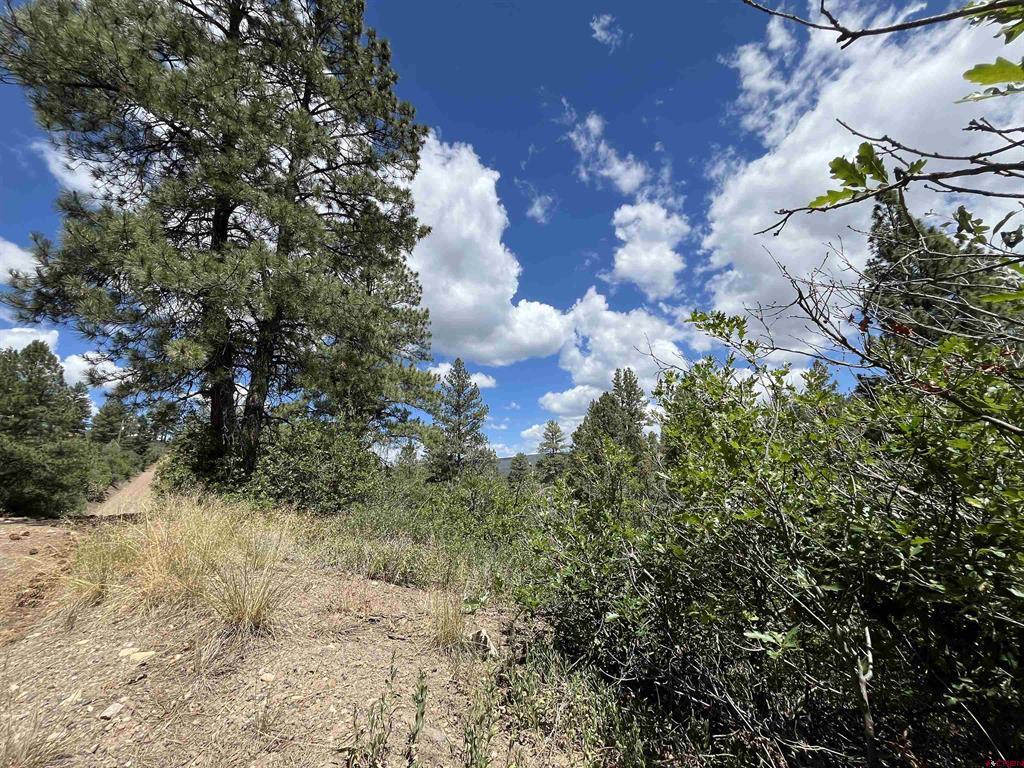 433 Echo Lane Pagosa Springs CO 81147