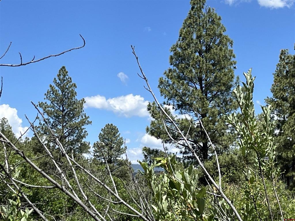433 Echo Lane Pagosa Springs CO 81147