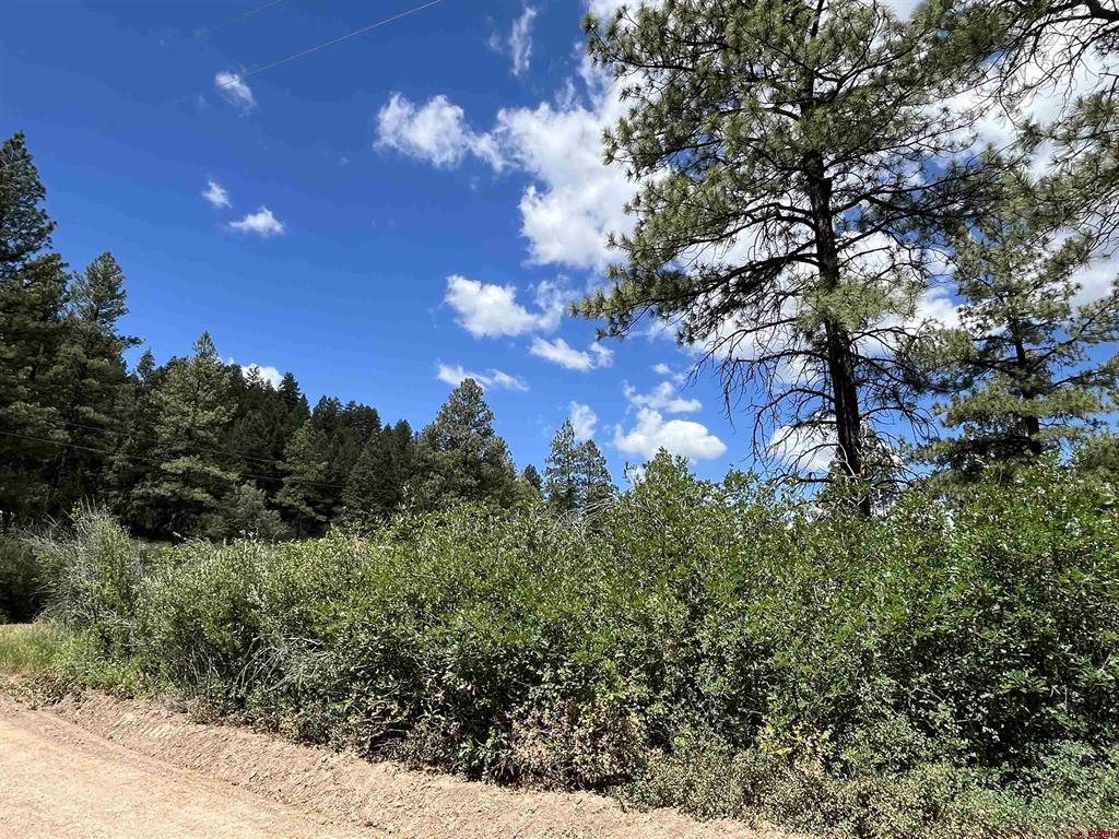 433 Echo Lane Pagosa Springs CO 81147
