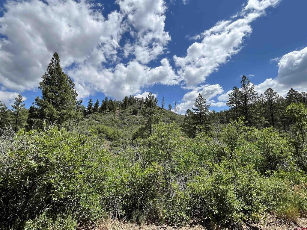 433 Echo Lane Pagosa Springs CO 81147