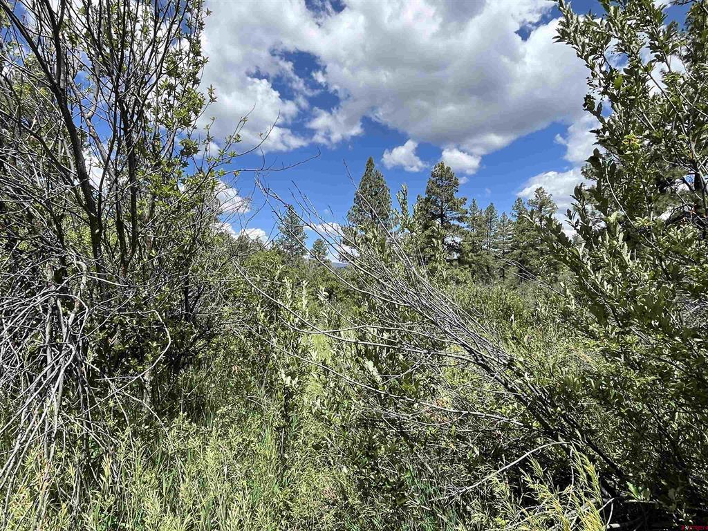 433 Echo Lane Pagosa Springs CO 81147