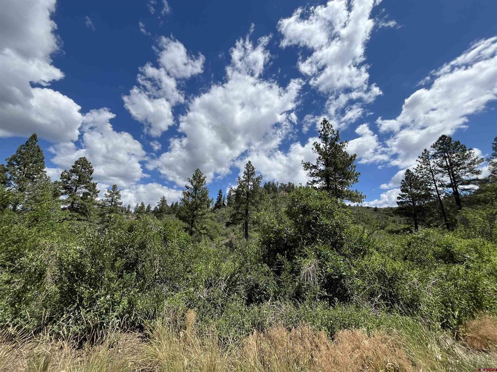 433 Echo Lane Pagosa Springs CO 81147