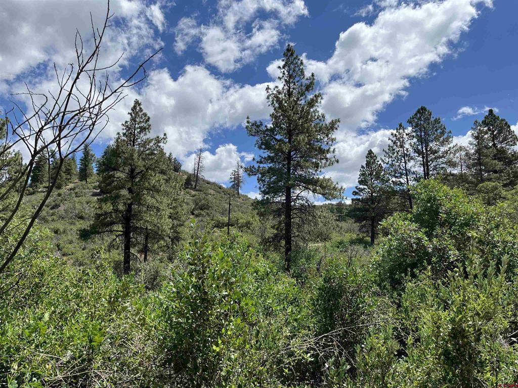 433 Echo Lane Pagosa Springs CO 81147