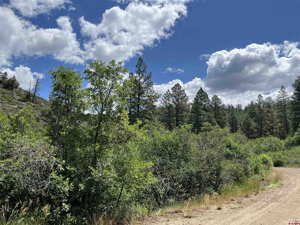 433 Echo Lane Pagosa Springs CO 81147