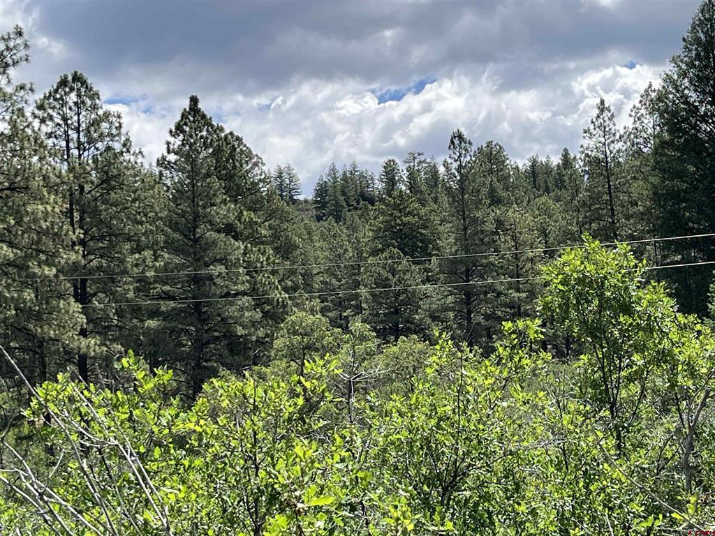 433 Echo Lane Pagosa Springs CO 81147