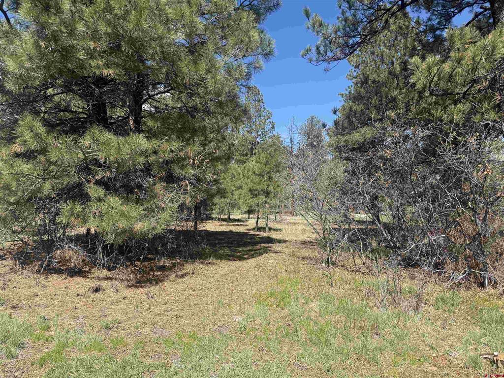 33 Granite Court Pagosa Springs CO 81147
