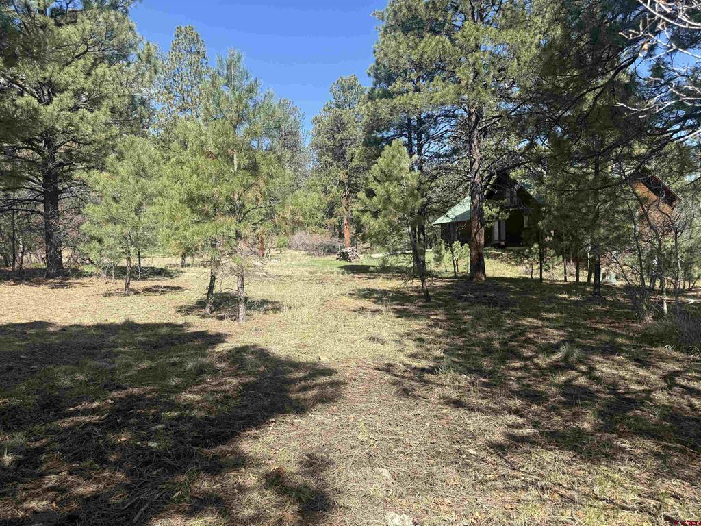 33 Granite Court Pagosa Springs CO 81147