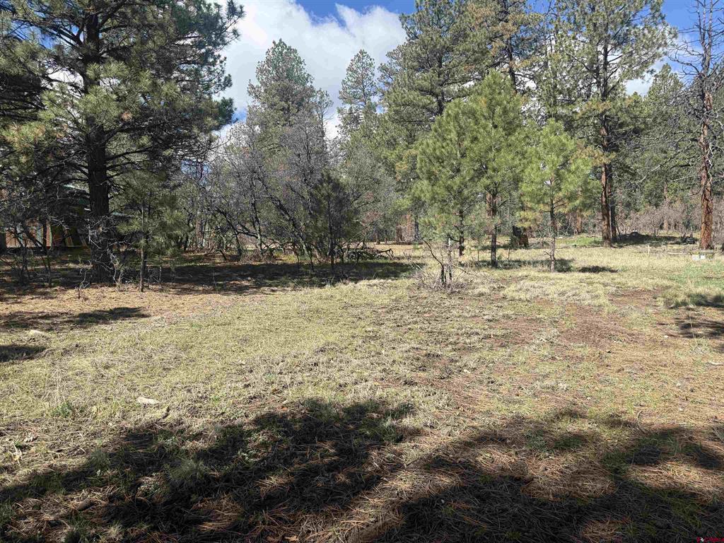 33 Granite Court Pagosa Springs CO 81147