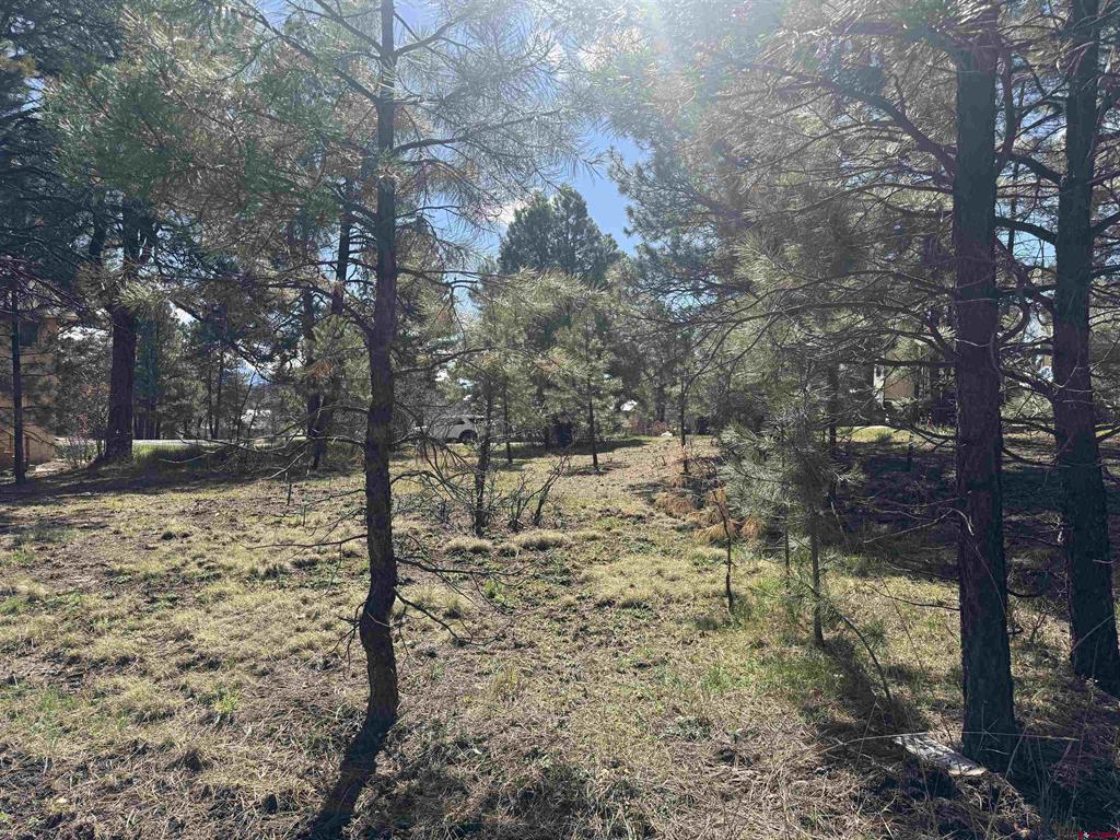 33 Granite Court Pagosa Springs CO 81147
