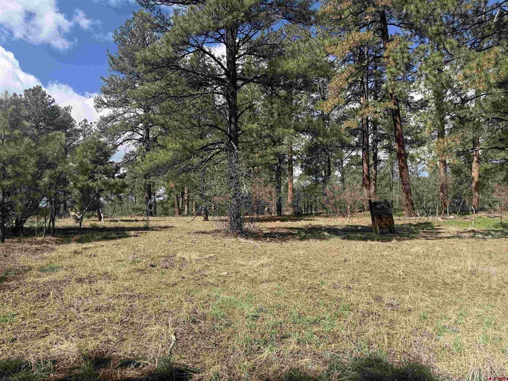 33 Granite Court Pagosa Springs CO 81147