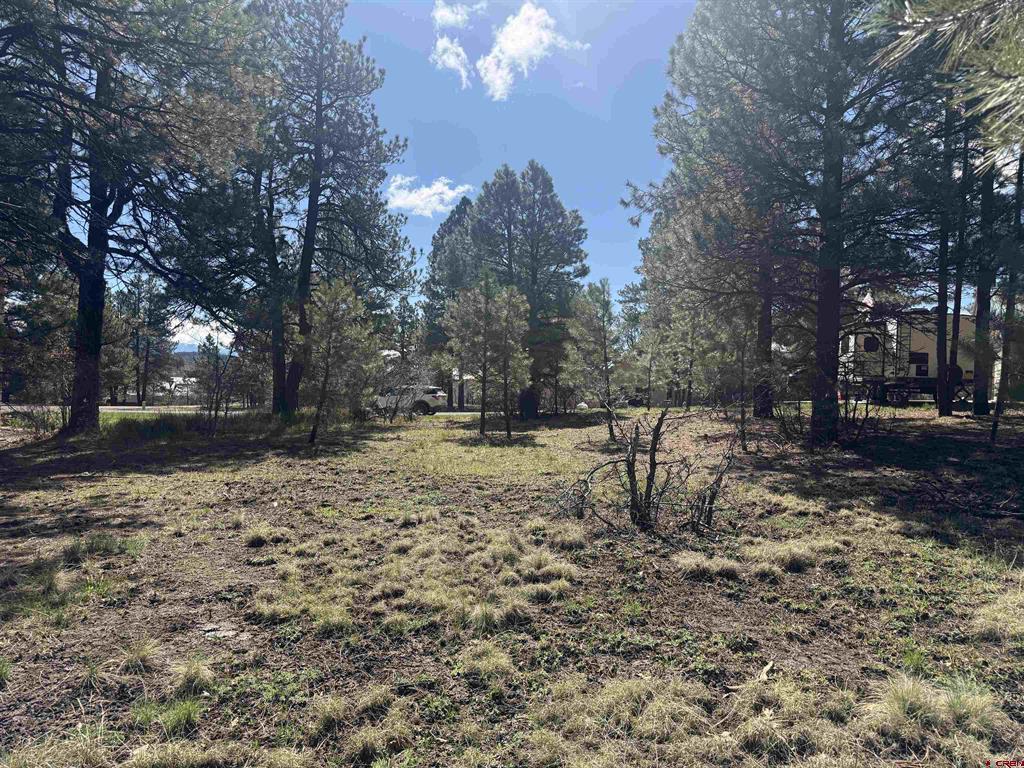 33 Granite Court Pagosa Springs CO 81147