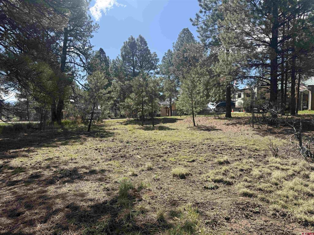 33 Granite Court Pagosa Springs CO 81147